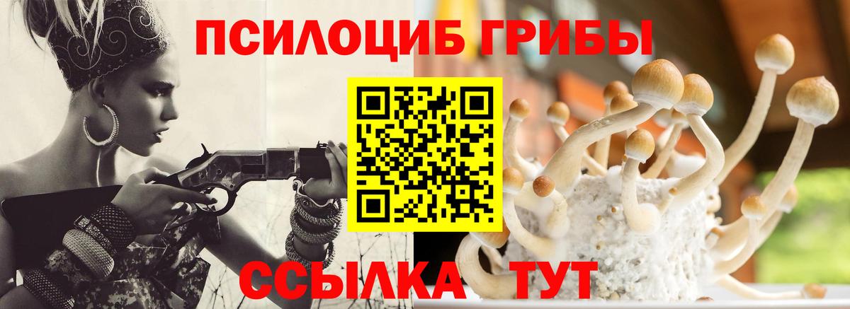 Новодвинск  купить наркотик  Вход с VPN  Галлюциногенные грибы мицелий 